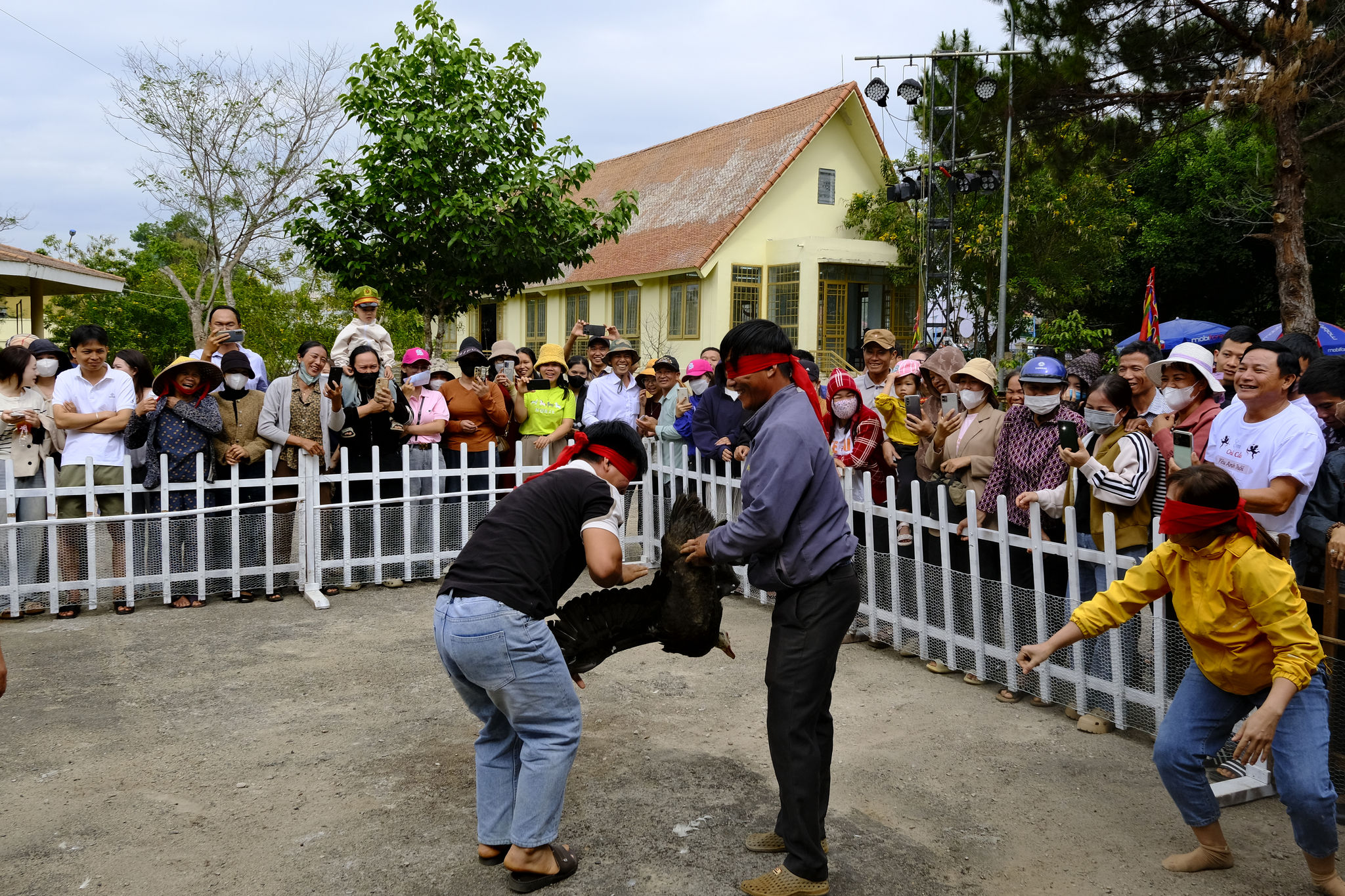 _dsf0990.jpg