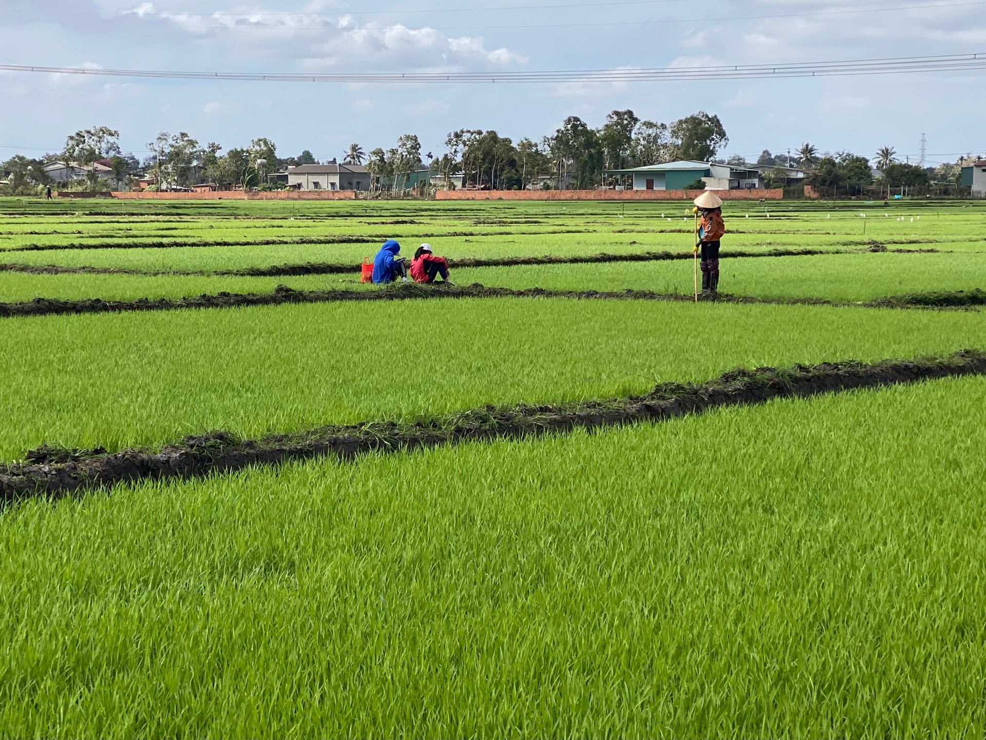 Même pendant les vacances du Nouvel An lunaire, Mme Le Thi Thanh, du village de Ninh Giang, commune de Nam Da, continue de se rendre régulièrement dans ses champs.
