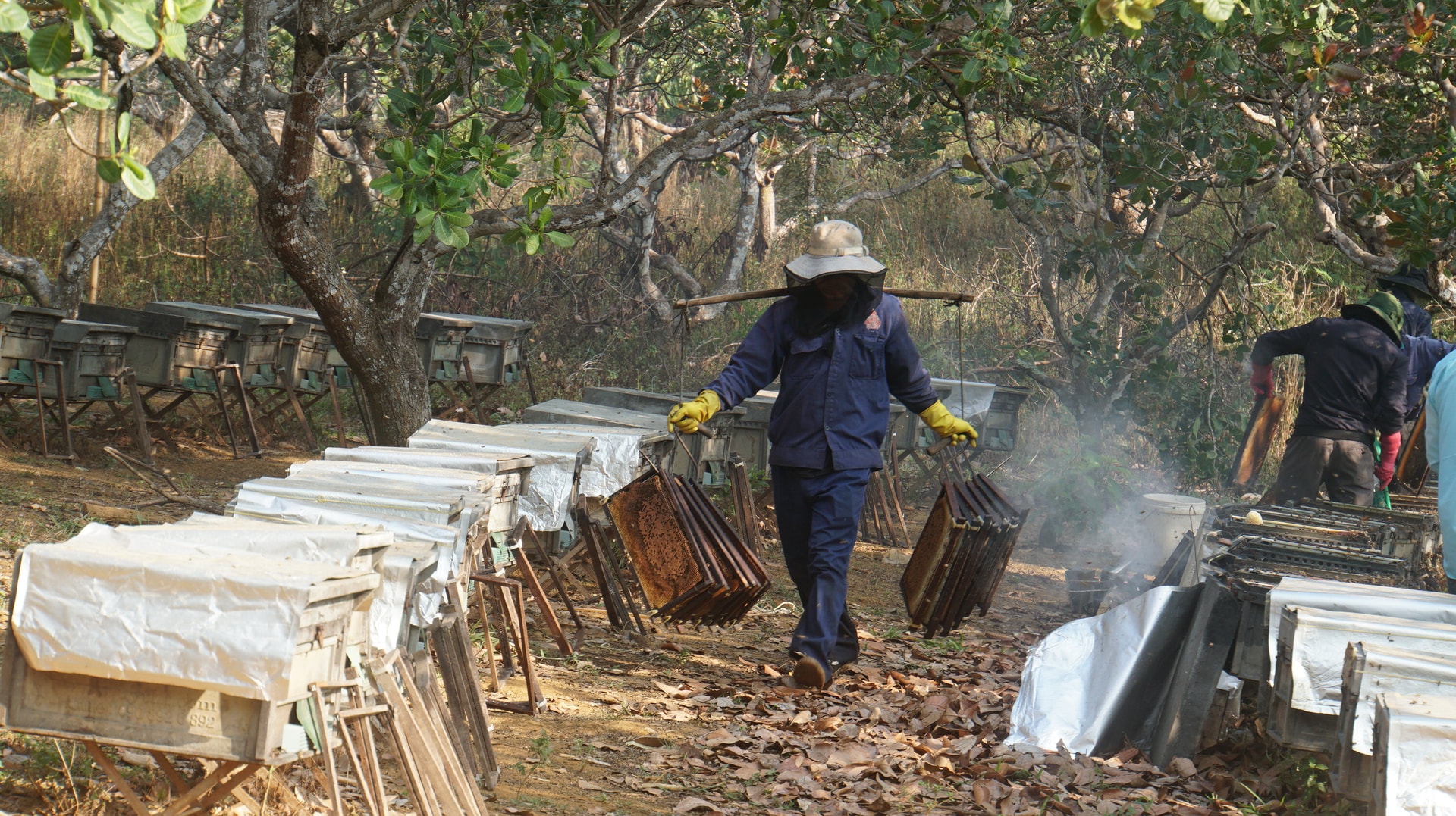 ओन्घोआकाफे (3)