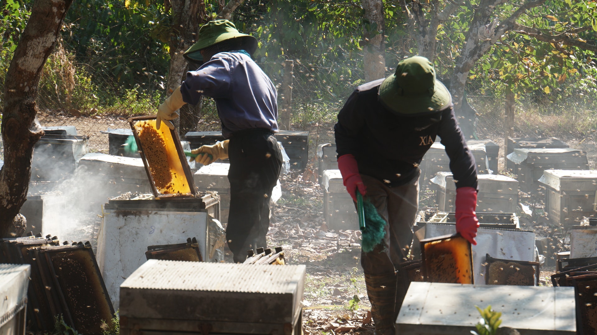 ओन्घोआकाफे (4)