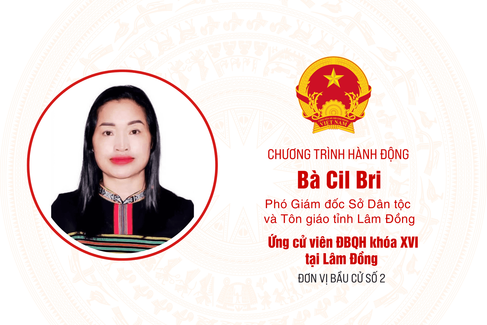 cil bri sửa