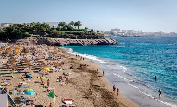 Bãi biển El Duque ở Tenerife trong đợt dịch châu chấu