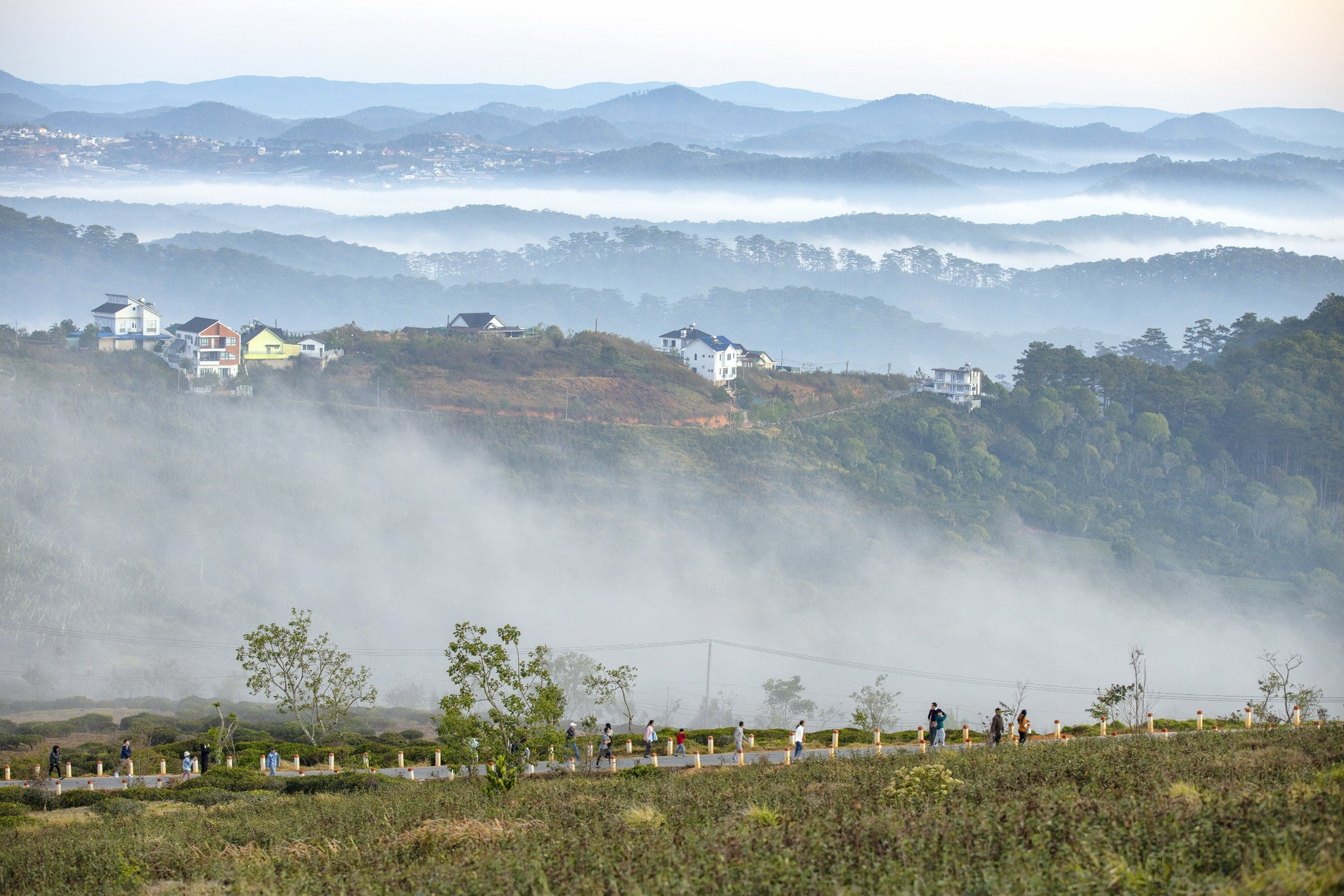4.Bồng bềnh kh&oacute;i sương - Đỗ Th&agrave;nh C&ocirc;ng