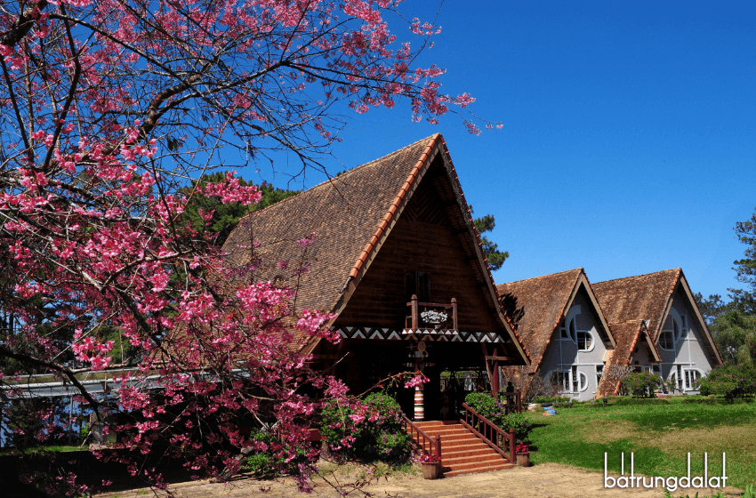 6.Sắc xu&acirc;n Đ&agrave; Lạt - Nguyễn B&aacute; Trung