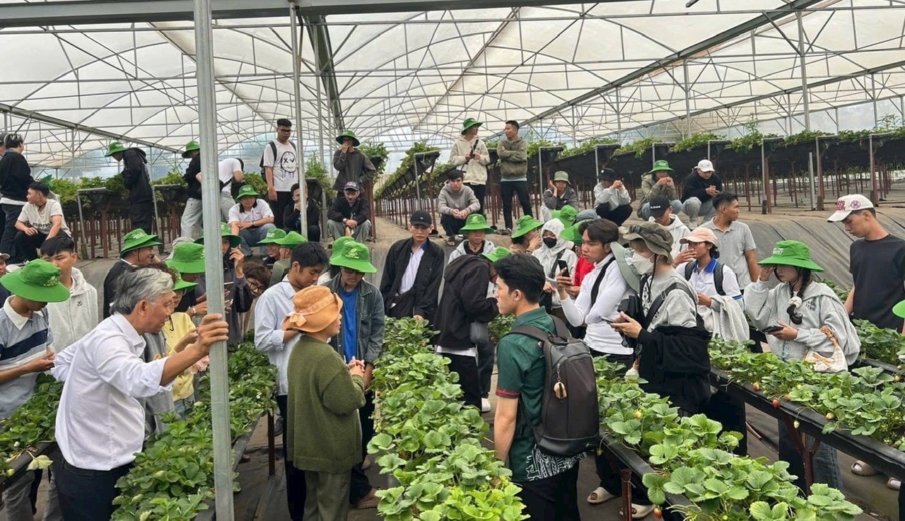 Ngành Nông nghiệp Lâm Đồng thường xuyên tổ chức chuyên đề tập huấn, hội thảo sản xuất nông nghiệp công nghẹ gắn với thị trường lưu thông nhanh nhất đến với người tiêu dùng