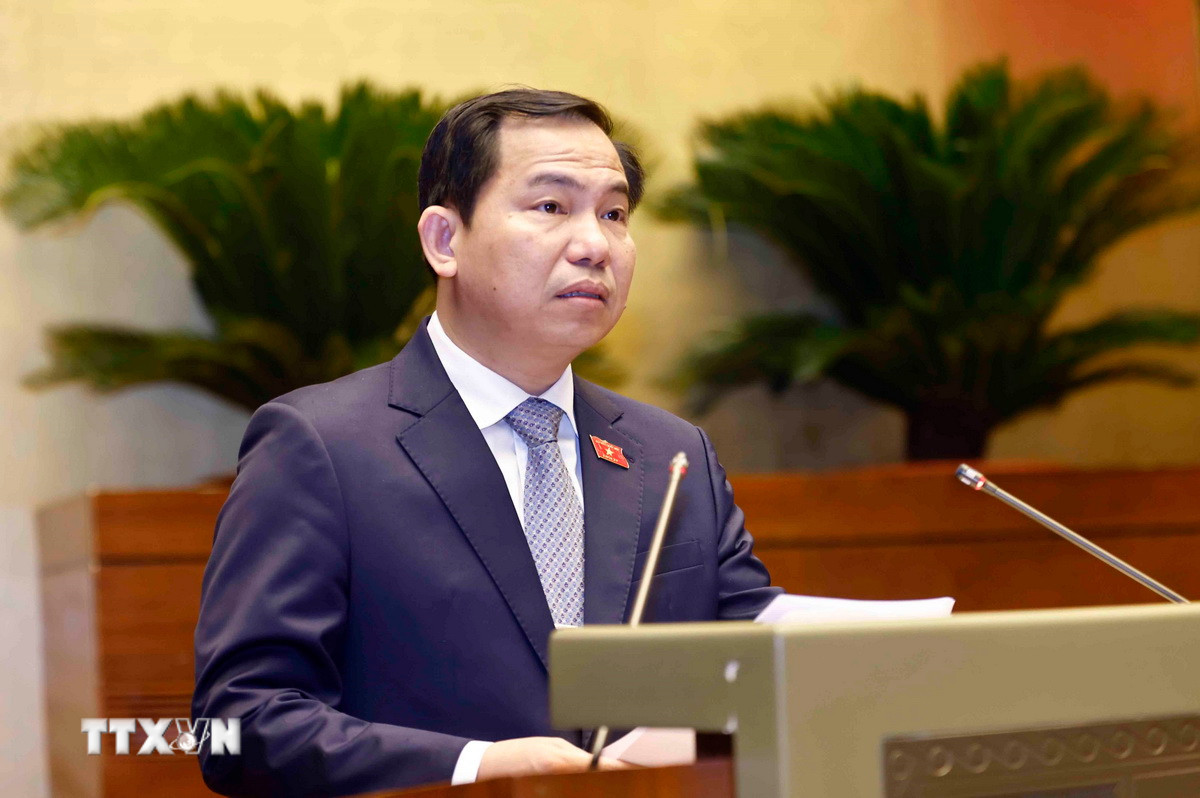 ttxvn-2910-le-quang-manh-luat-dau-tu-cong-801.jpg
