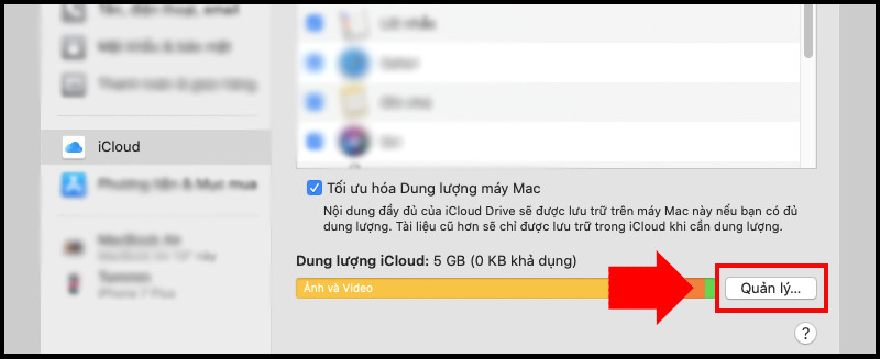 Nhấn vào nút Quản lý trong cài đặt iCloud trên Mac