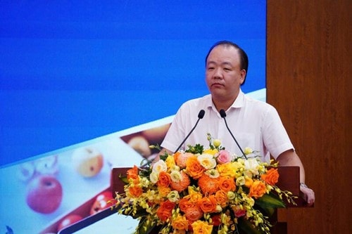 Ông Trần Hữu Linh chia sẻ về việc điều hành giá xăng dầu linh hoạt theo ngày (Ảnh: Cấn Dũng)