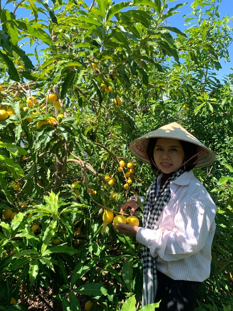 Đảm bảo an toàn thực phẩm từ việc ap sụng quy trình sản xuất sạch (2)