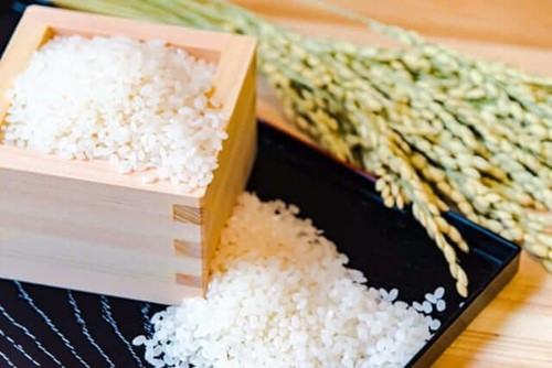 Hoạt động đóng gói gạo xuất khẩu tại kho