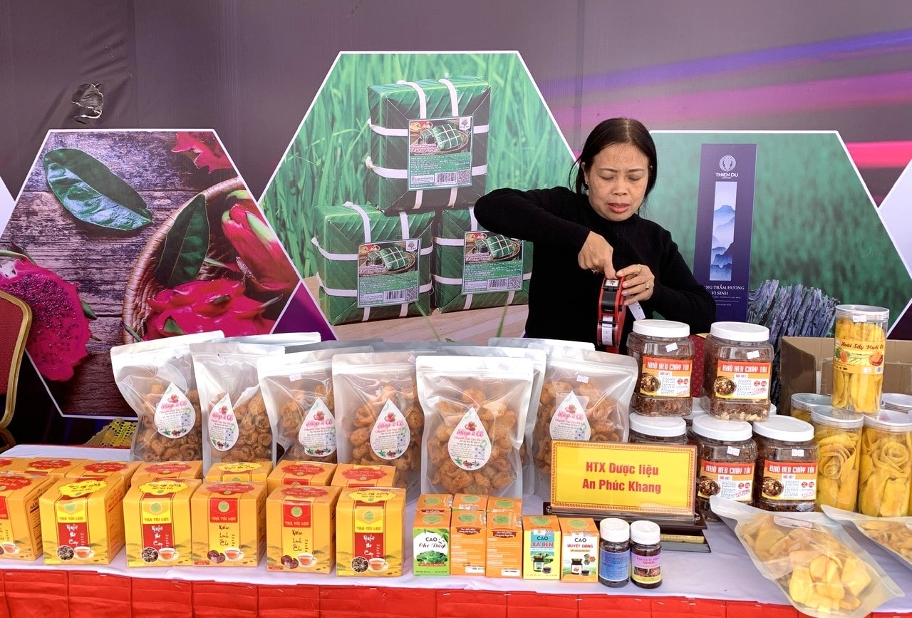 Tăng cường xúc tiến thương mại để quảng bá các sản phẩm an toàn thực phẩm của tỉnh Lâm Đồng (2)