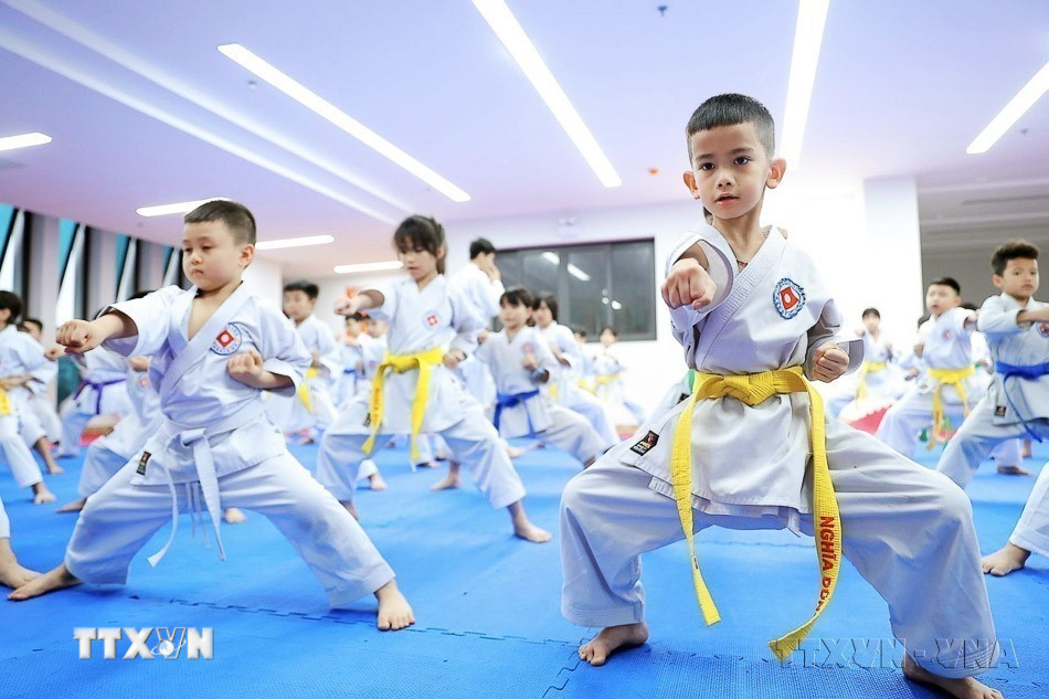 ttxvn-potal-the-thao-viet-nam-tung-buoc-khang-dinh-vi-the-tren-dau-truong-khu-vuc-va-quoc-te-8664282.jpg