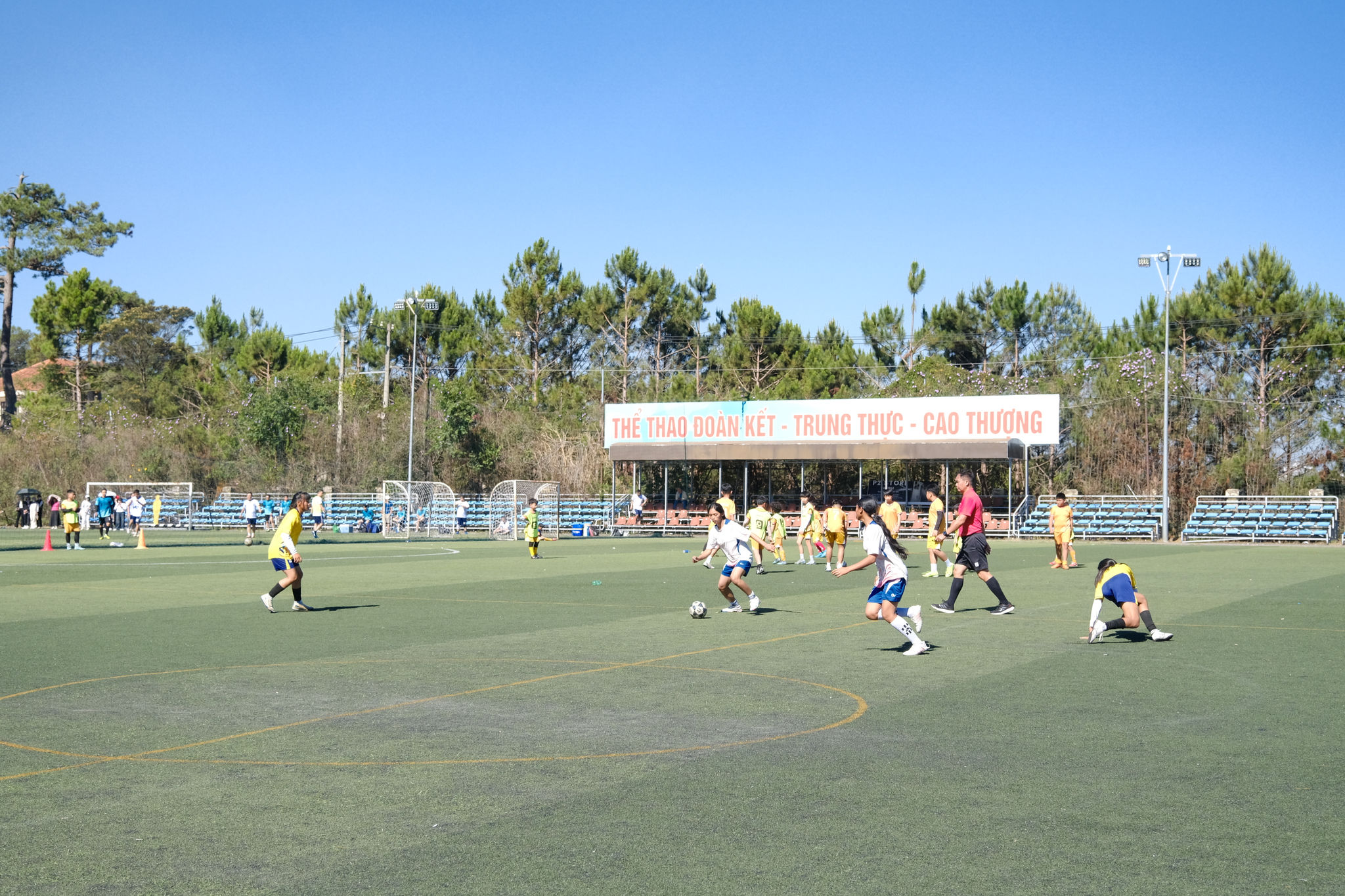 dscf8407.jpg