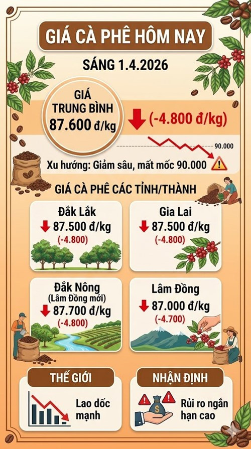 Bảng giá cà phê trong nước hôm nay 1/4