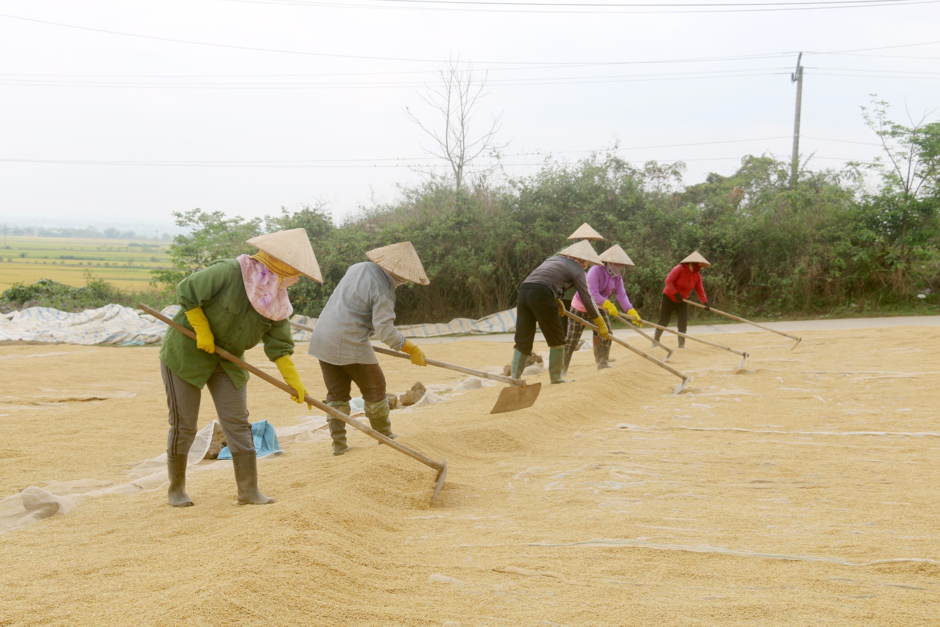 canh-dong-buon-choah-duong-phong-6.jpg