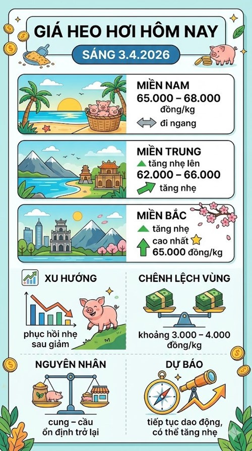 Thị trường heo hơi miền Nam tạm thời ổn định sau giai đoạn điều chỉnh giảm giá