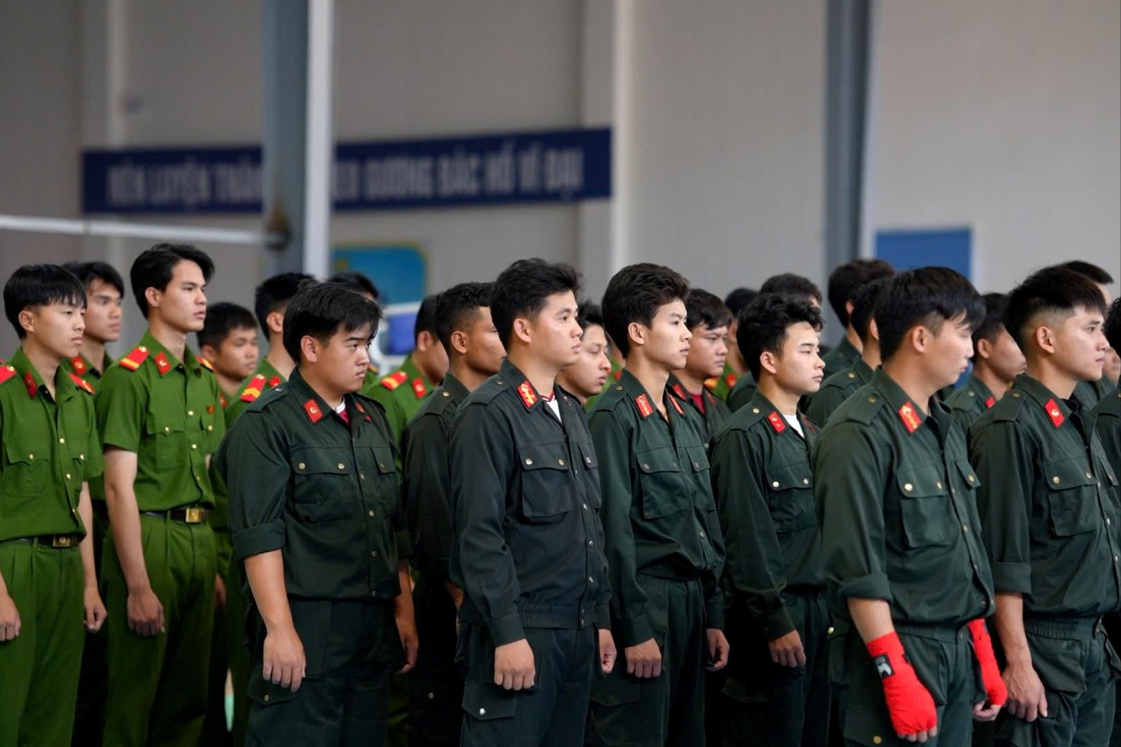cac-van-dong-vien-tham-du(1).jpg