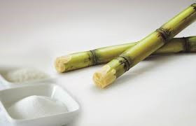 Hoạt động sản xuất ethanol tại nhà máy Ấn Độ