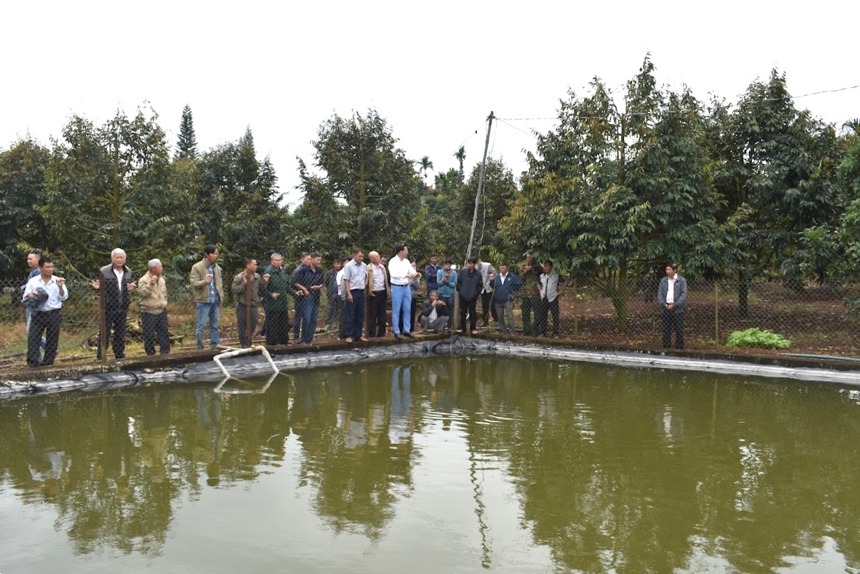 Nông dân cần chủ động đào ao hồ nhỏ, tích trữ nước tưới đảm bảo sinh trưởng cho cay trồng khi mùa khô hạn kéo dài
