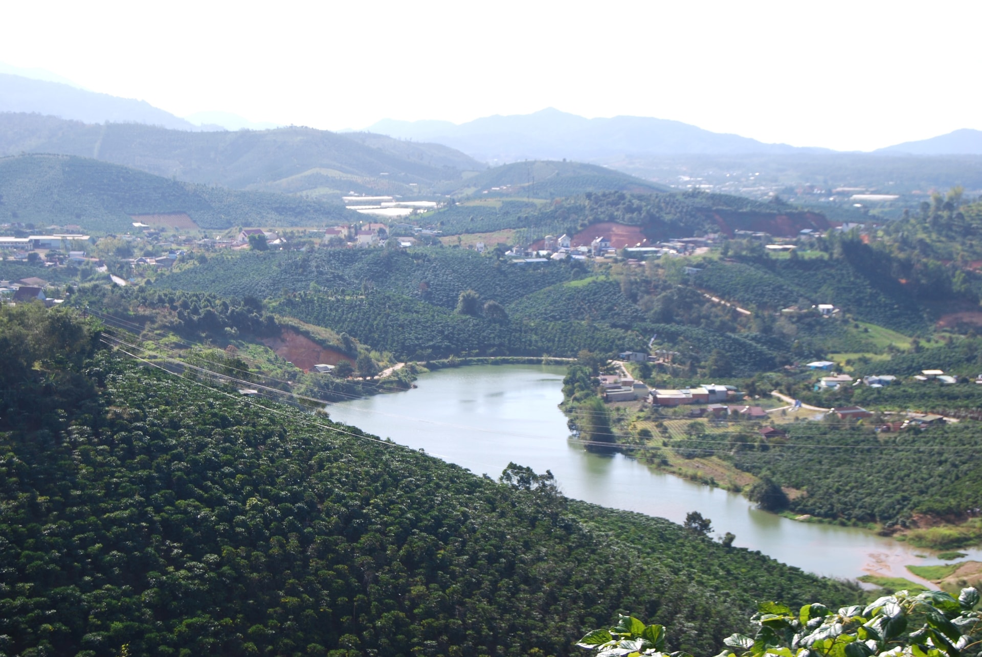 Nông dân cần chủ động tích trữ nước tưới đảm bảo sinh trưởng cho cay trồng khi mùa khô hạn kéo dài 