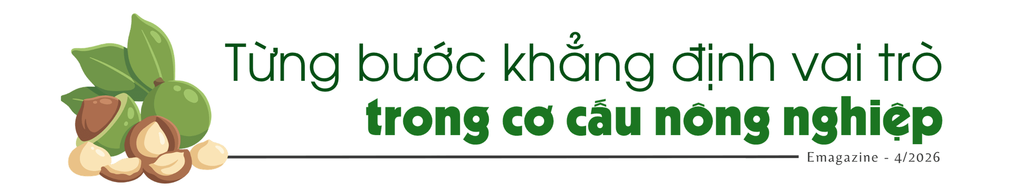 c1(1).png