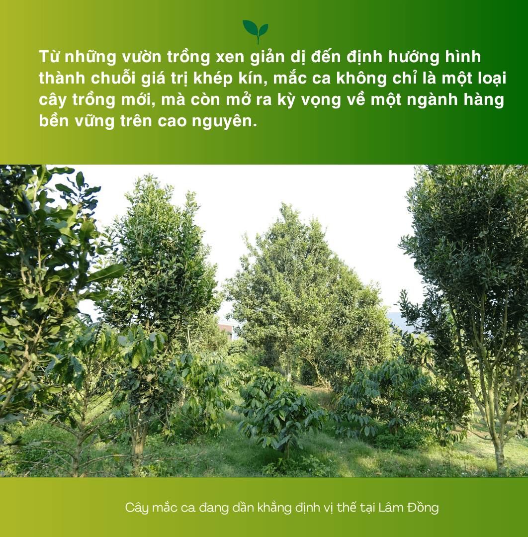 Green and Cream Modern Agriculture Company Presentation