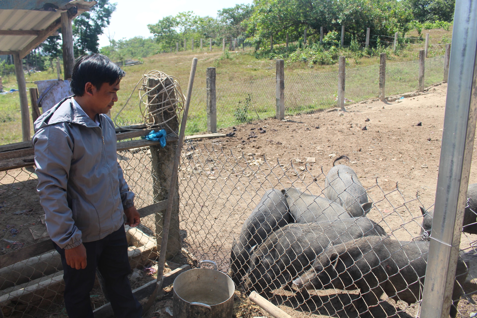 Pan Vinh kombinuje chov hospodářských zvířat ve stájích a jejich prodej.