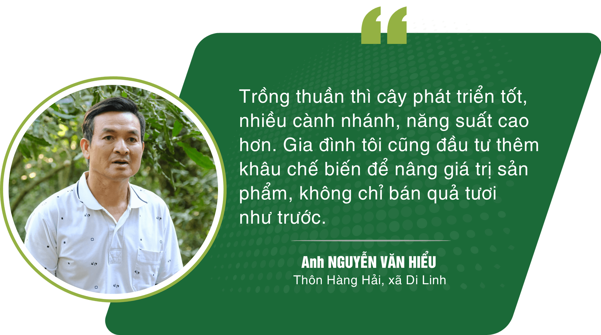 pc hien