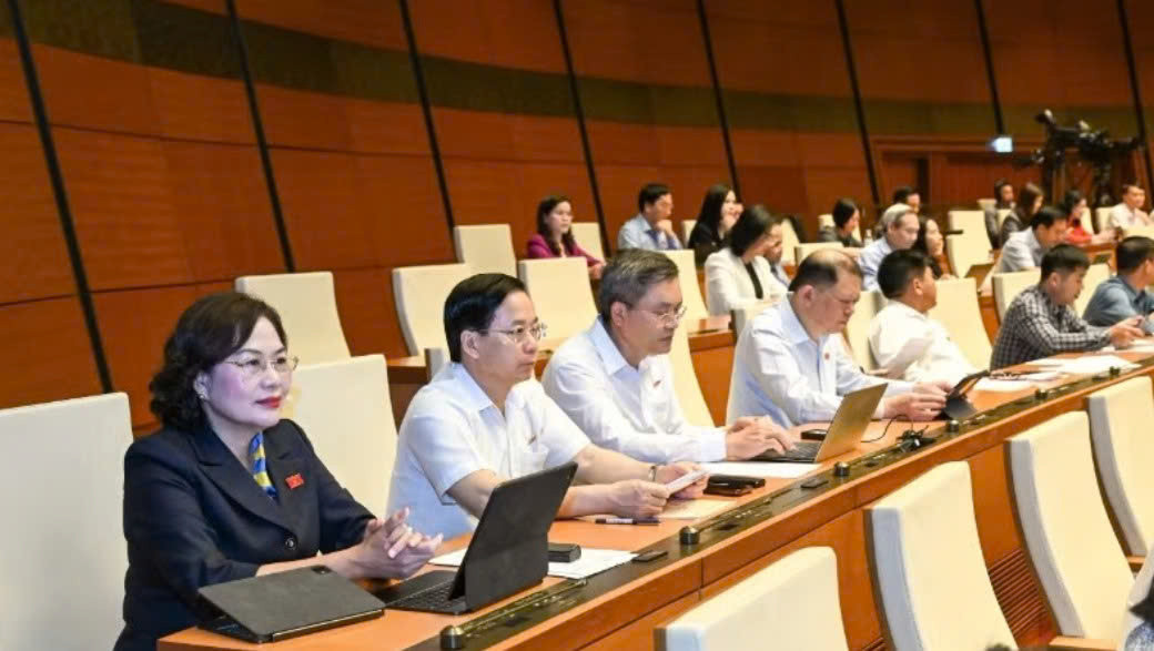 Các đại biểu Quốc hội làm việc tại hội trường. (Ảnh: DUY LINH)