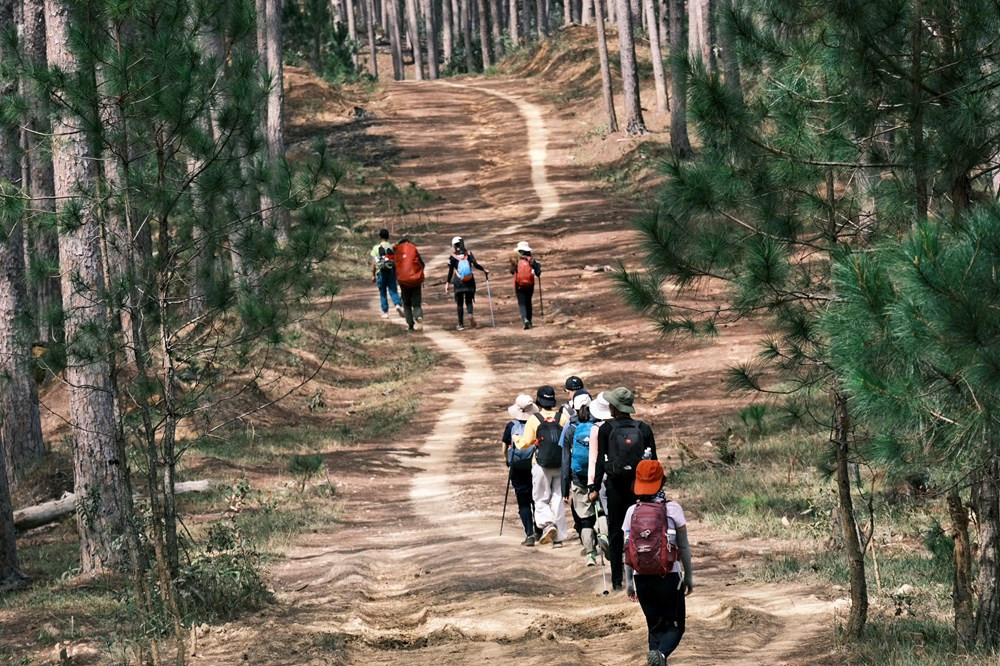 images.vietnamtourism.gov.vn-vn-images-2026-thang_2-_2602.vqg-bidoup-nuiba-4.jpg
