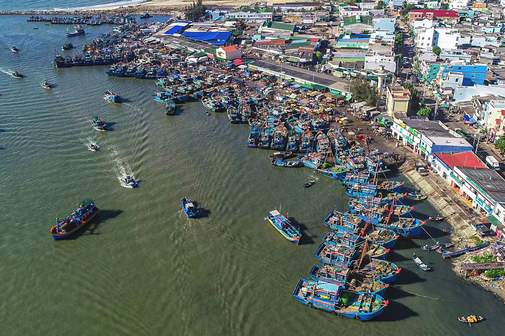 Cảng cá La Gi (ảnh Ngọc Lân) (1)