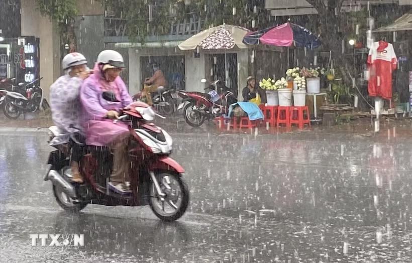 (Ảnh minh họa: Công Mạo/TTXVN)