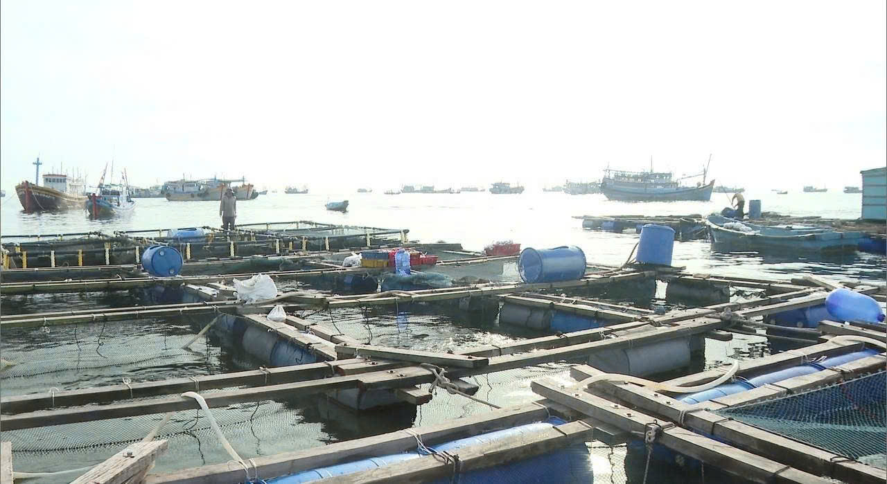 nuôi trồng hải sản trên biển