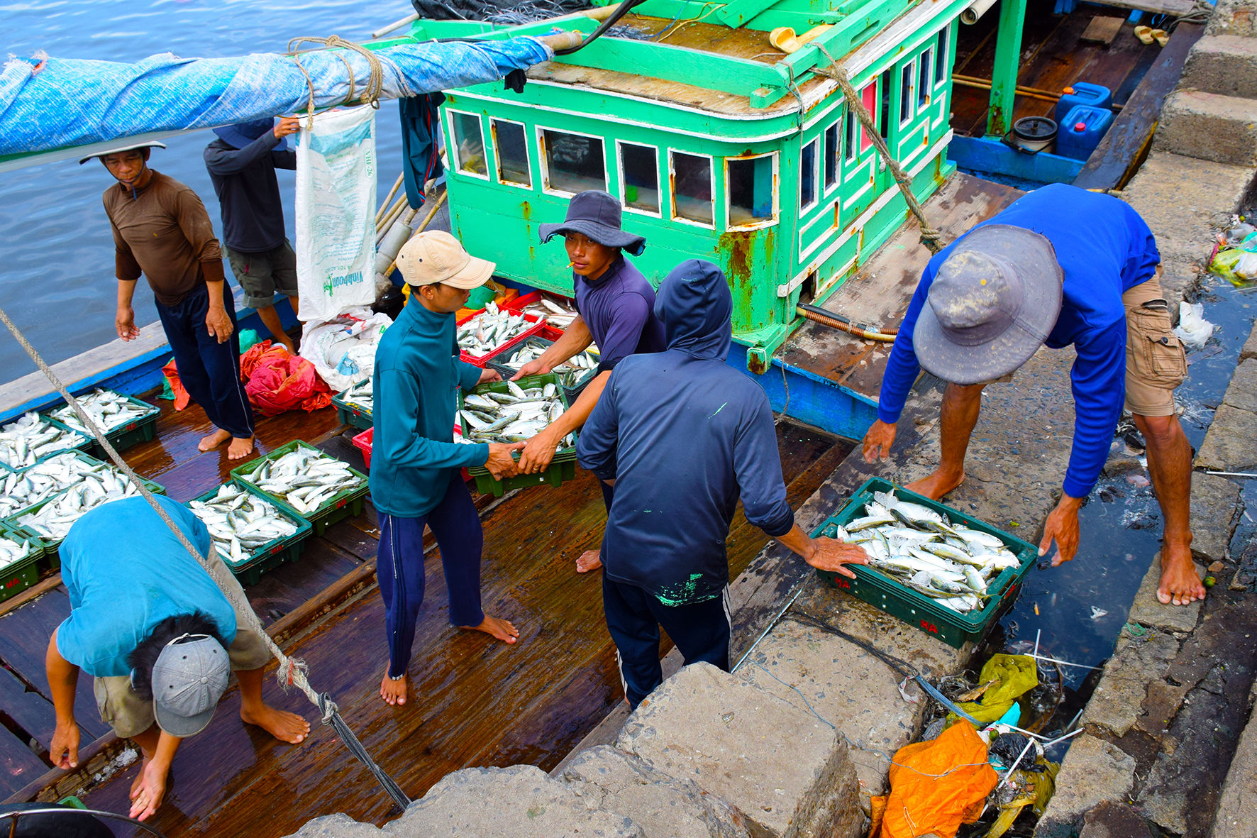 Vụ ca nam ở cảng cá Phan Thiết (ảnh N. Lân) (1)
