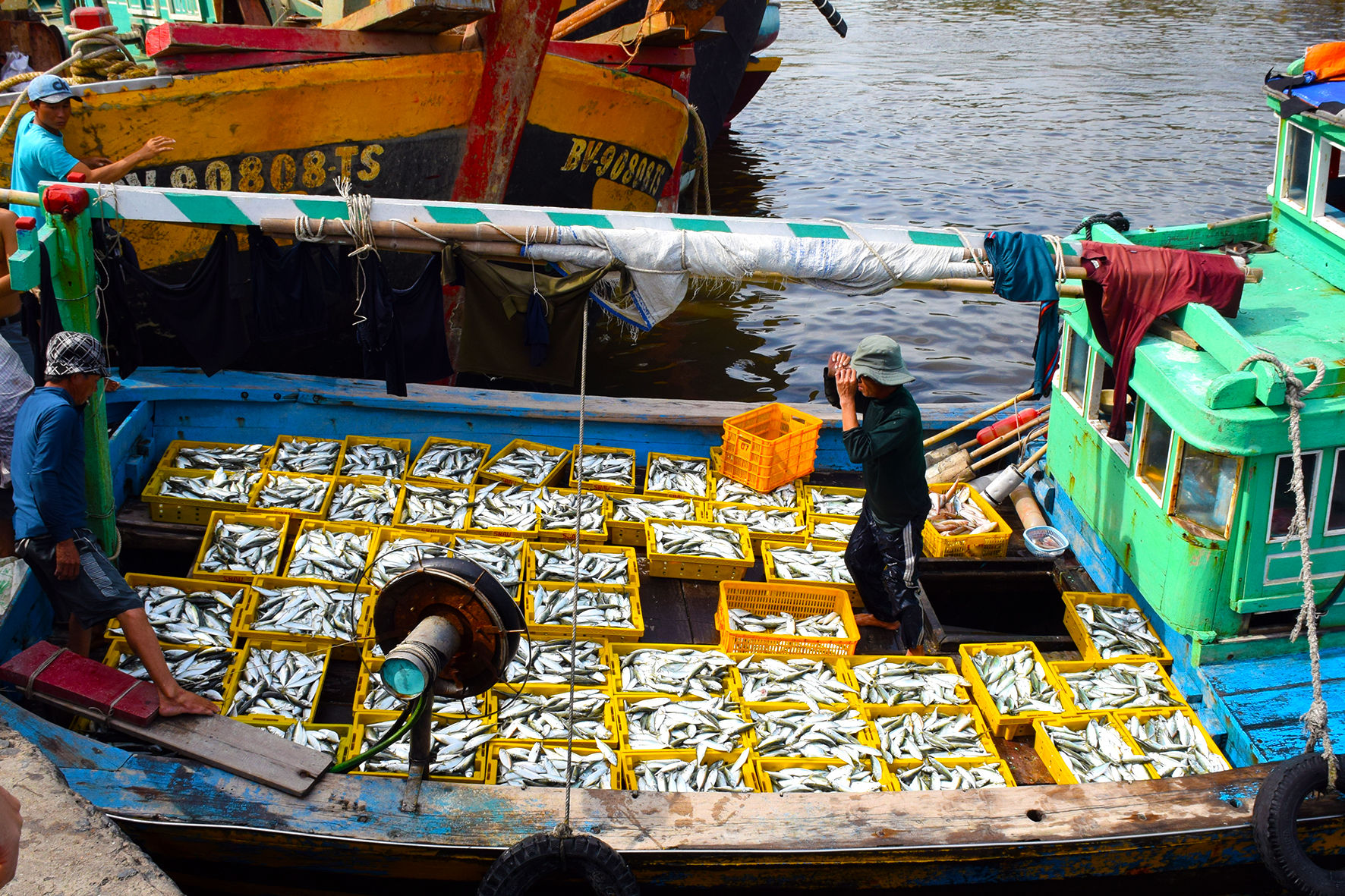 Vụ ca nam ở cảng cá Phan Thiết (ảnh N. Lân) (7)