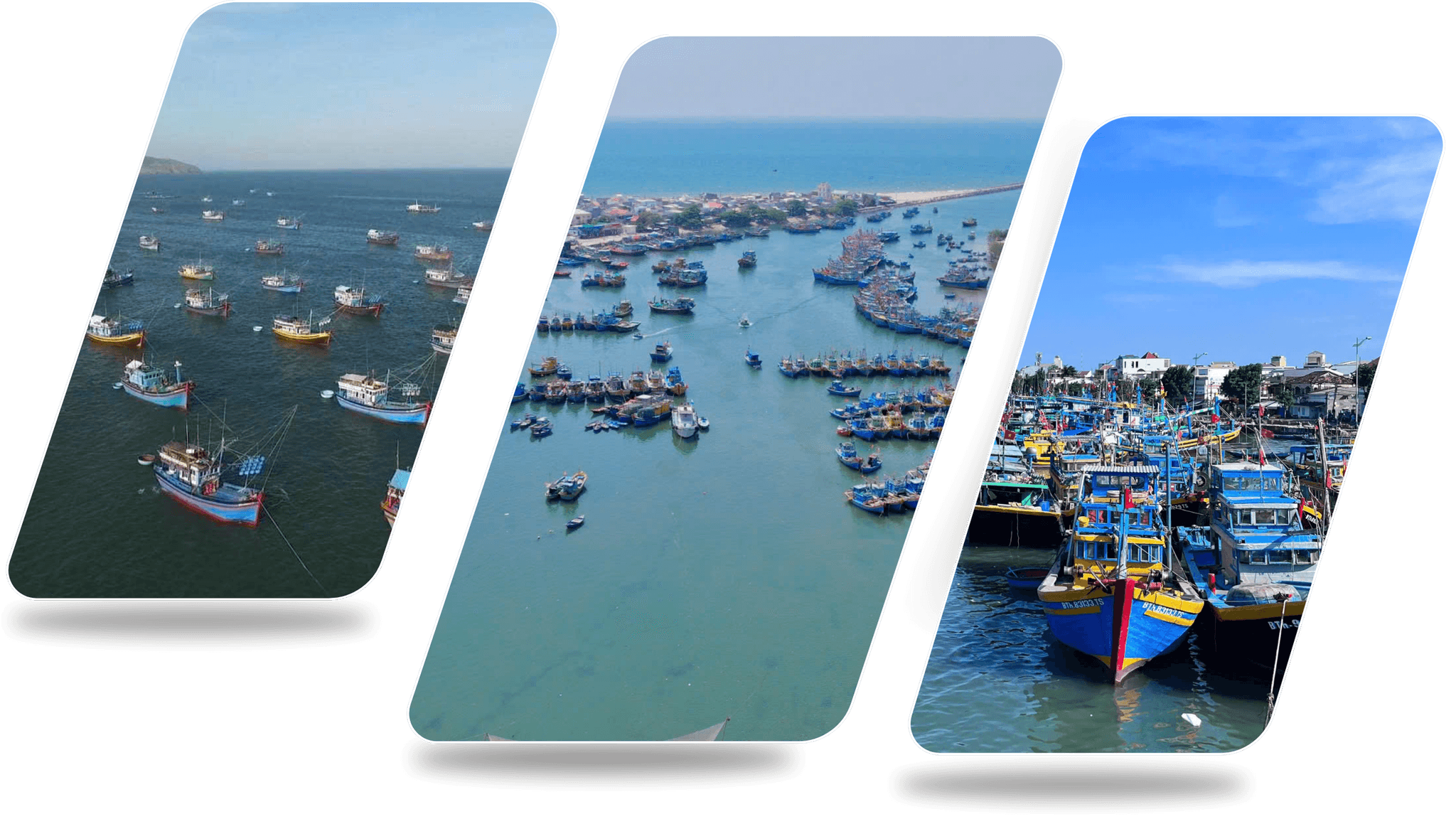 BÌA CUỐI EME