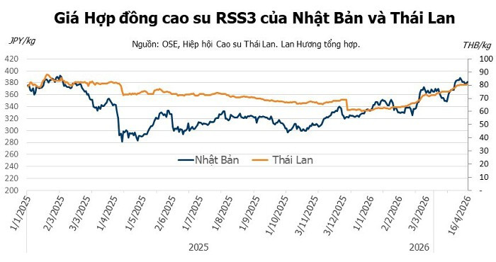 Diễn biến giá cao su kỳ hạn tại Thái Lan và Nhật Bản ngày 17/4/2026