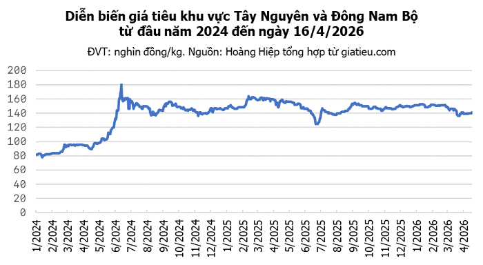 Thị trường hồ tiêu trong nước liên tục tăng giá trong những phiên gần đây.