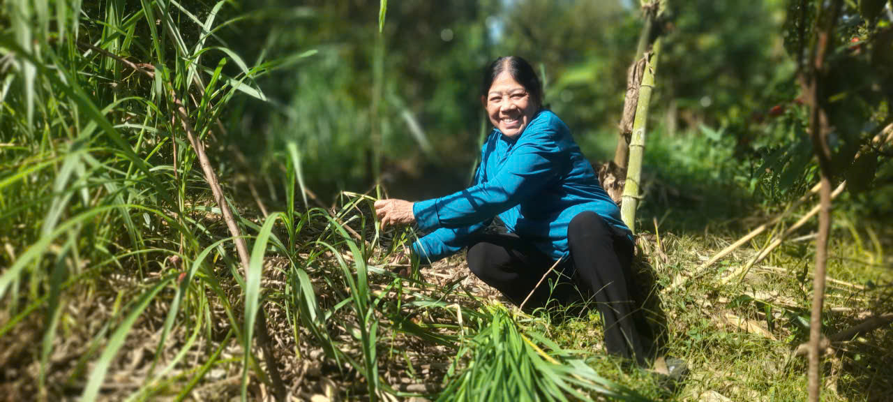 Bà Nguyễn Thị Sang cười tươi khi cắt cỏ cho bò ăn vì mới bán được con bê 13 triệu đồng, hy vọng thoát nghèo bền vững