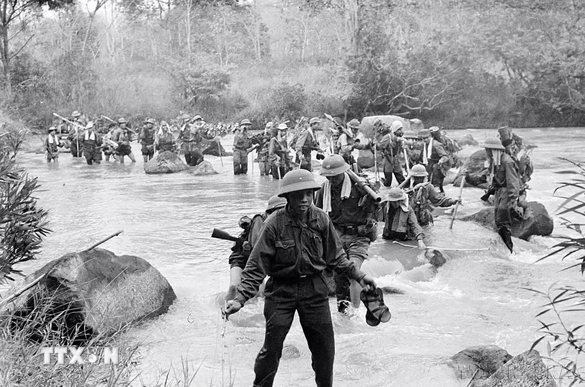 anh 13 copy