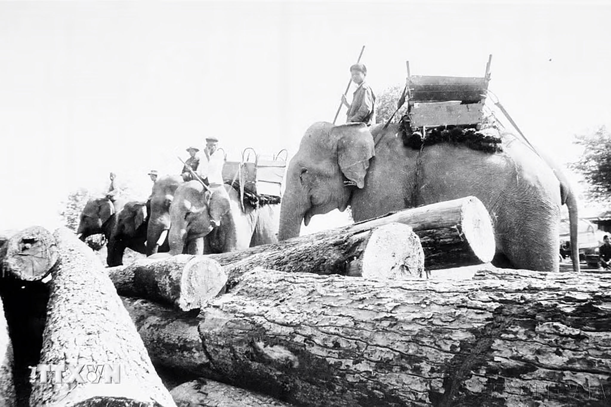 anh 2 copy