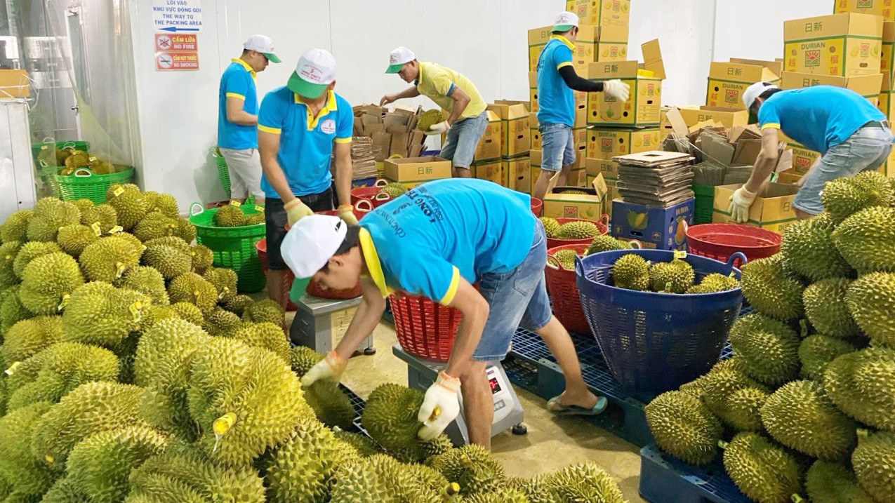 baolamdong.vn-file-e7837c02845ffd04018473e6df282e92-032024-_t3b-1_2_20240320202357_20240321230552.jpg
