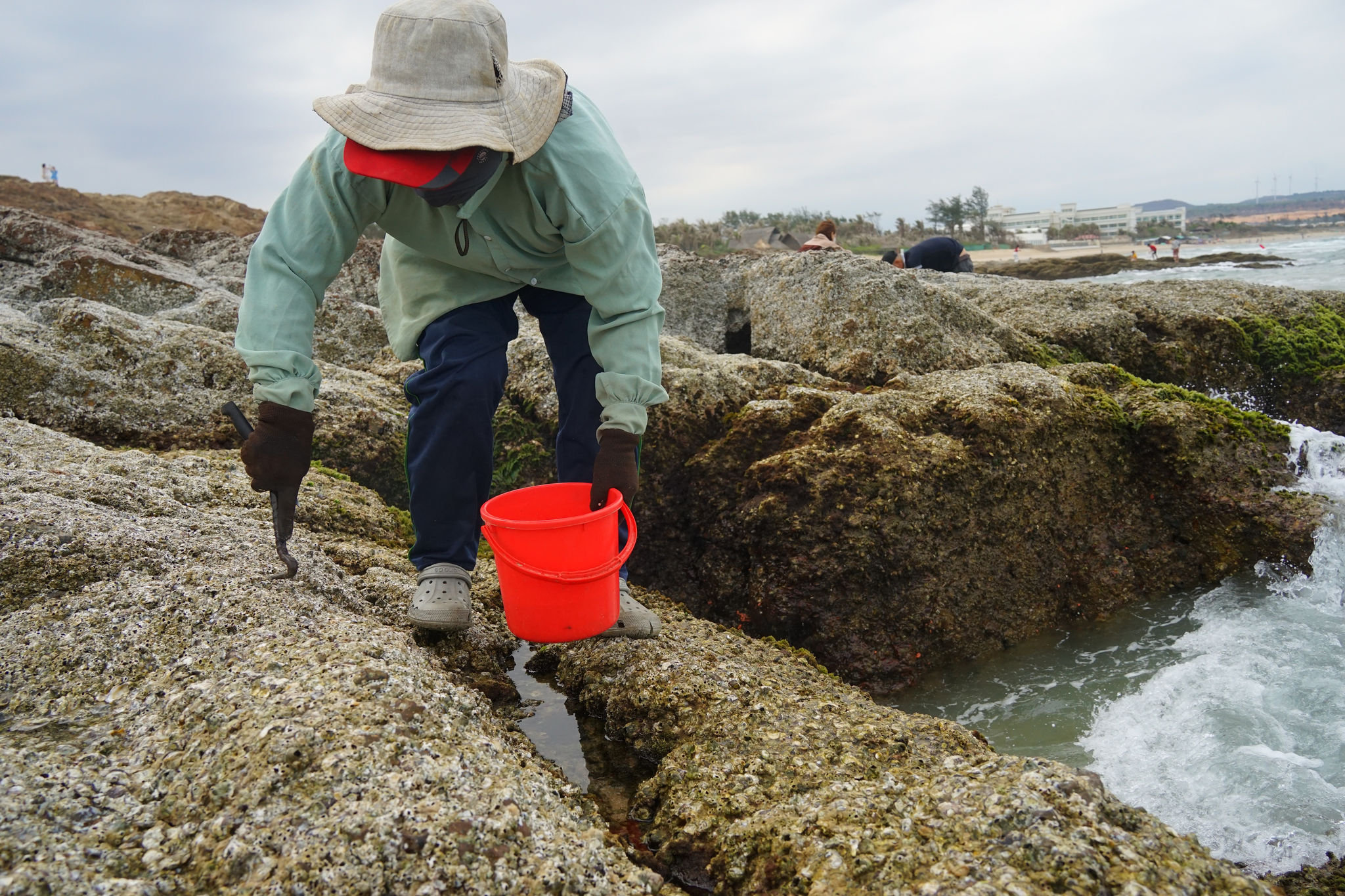 Natural Pacific oysters are highly nutritious.