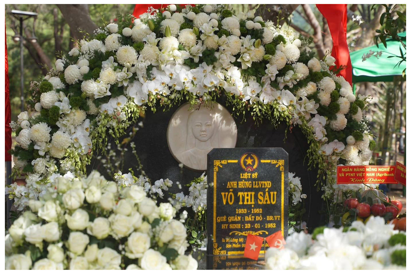 a378.vo-thi-sau(1).jpg