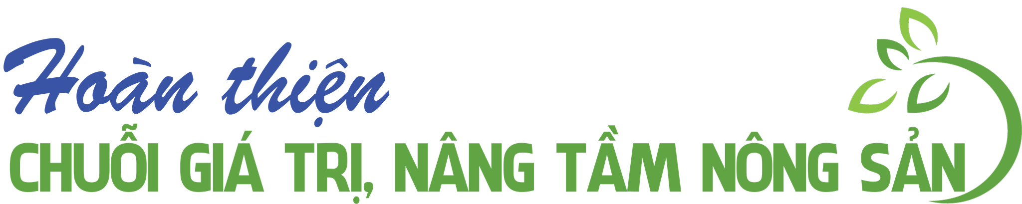 Tit thayxongb