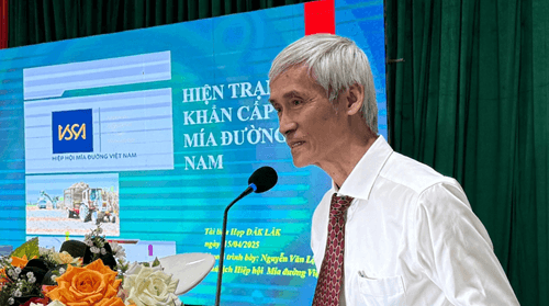 Ông Nguyễn Văn Lộc nhận định về tình hình đường lậu.