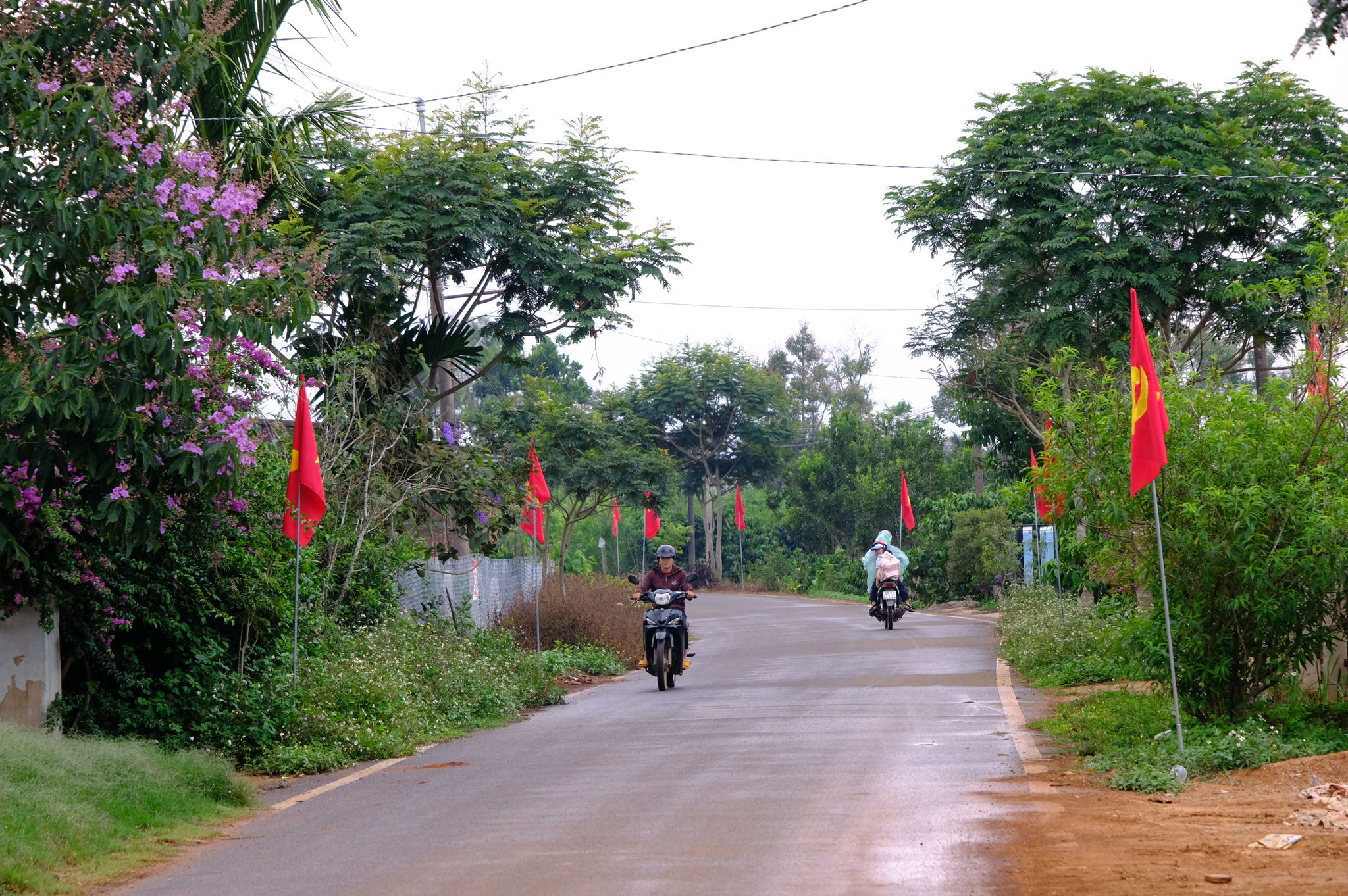dscf5215.jpg