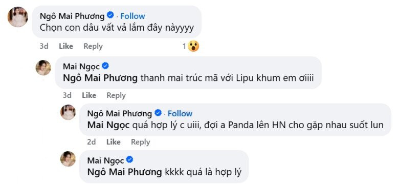 Màn đối đáp của Mai Ngọc và Ngô Mai Phương khiến khán giả thích thú.