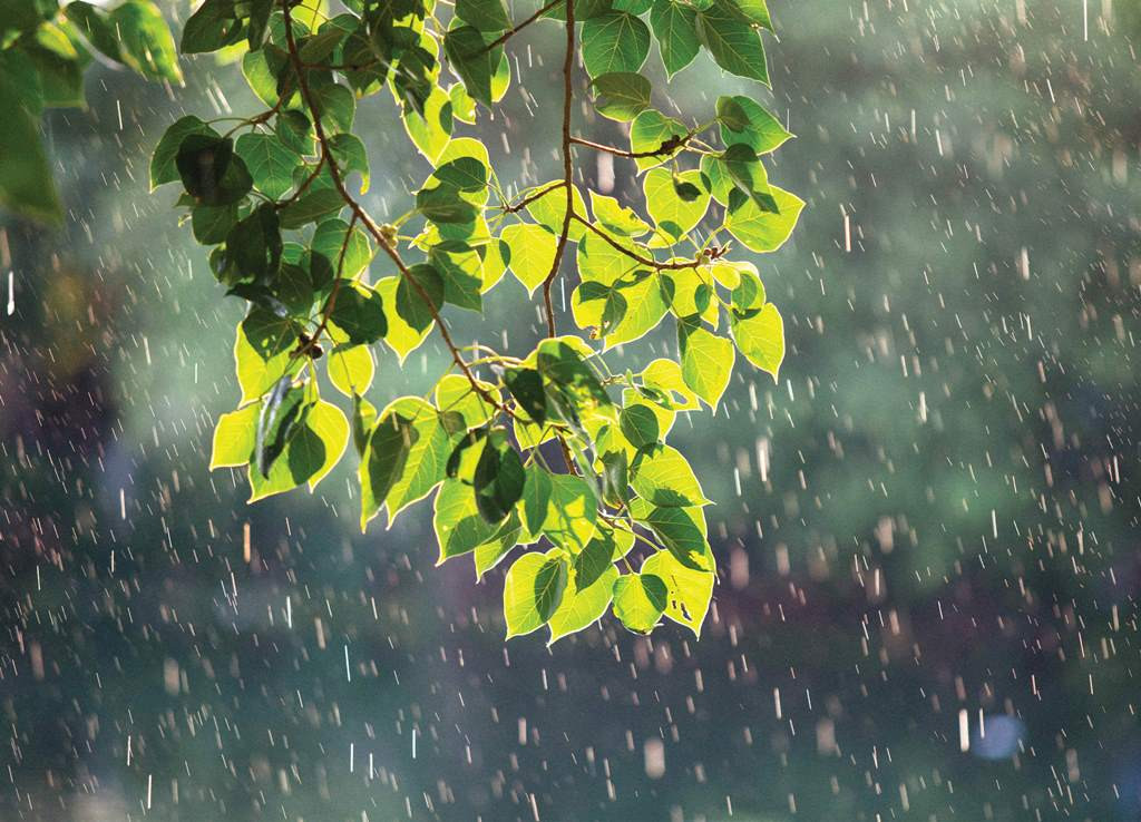 BẢN TIN DỰ BÁO, CẢNH BÁO XU THẾ THỜI TIẾT TRÊN ĐẤT LIỀN THỜI HẠN ĐẾN 10 NGÀY (Từ đêm 30/4 đến ngày 10/5)
