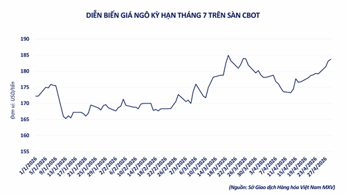 Gráfico que muestra la evolución del precio de los futuros de maíz de julio en la bolsa CBOT.